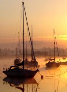 CO32 in de (ochtend?) mist