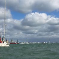 Te veel om te tellen